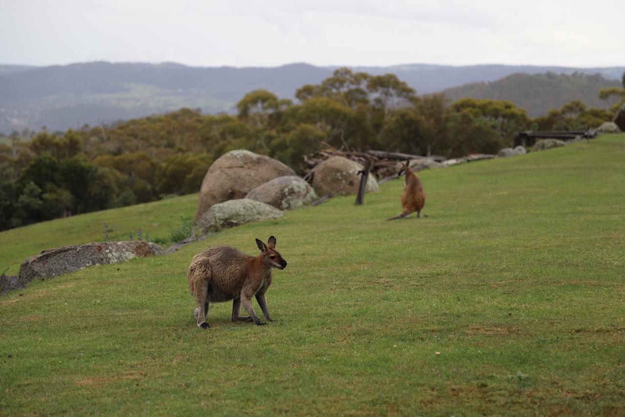 Willa Altitude 1260 Jindabyne Zewnętrze zdjęcie